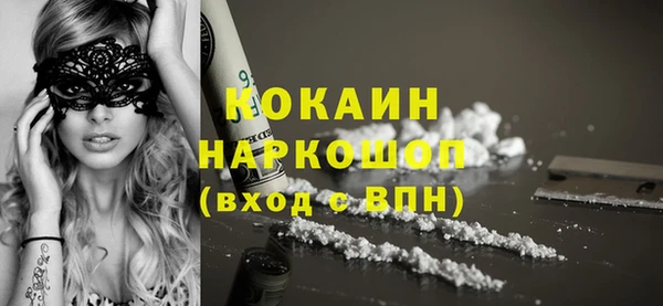 соль ск Каменногорск