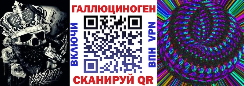 Псилоцибиновые грибы MAGIC MUSHROOMS  Купить  Стародуб 